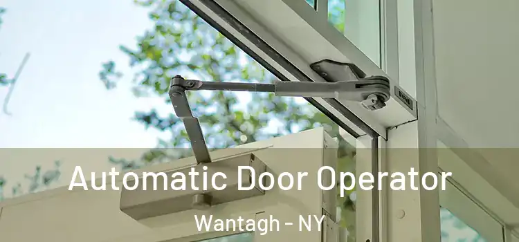  Automatic Door Operator Wantagh - NY