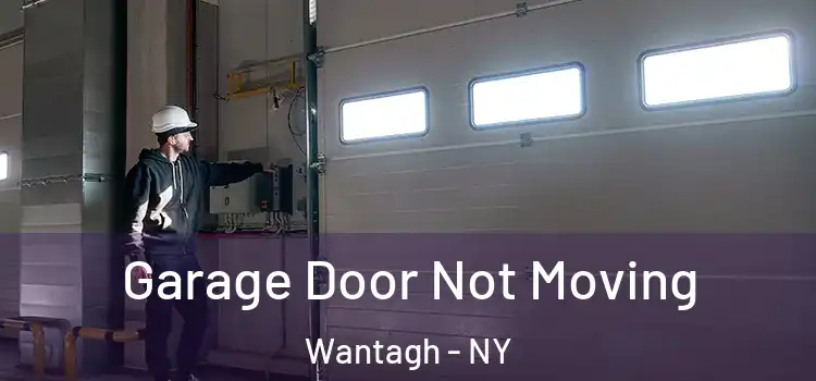  Garage Door Not Moving Wantagh - NY