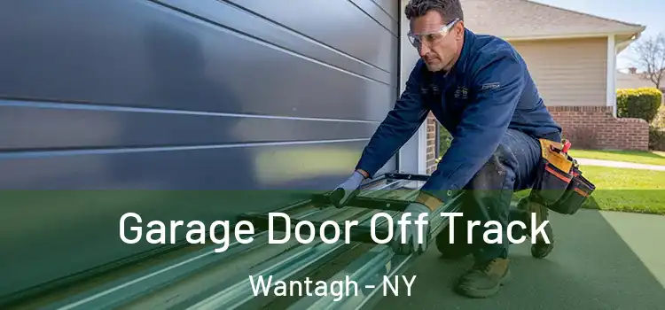  Garage Door Off Track Wantagh - NY