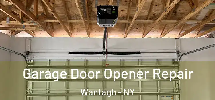  Garage Door Opener Repair Wantagh - NY