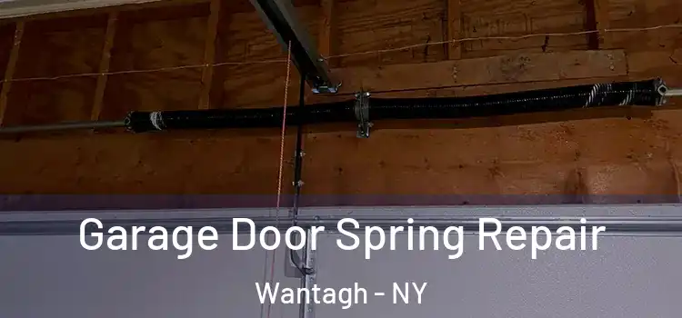  Garage Door Spring Repair Wantagh - NY