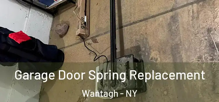  Garage Door Spring Replacement Wantagh - NY