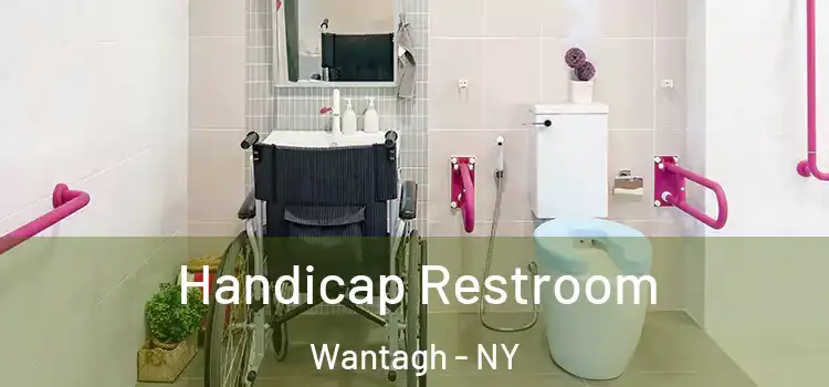  Handicap Restroom Wantagh - NY
