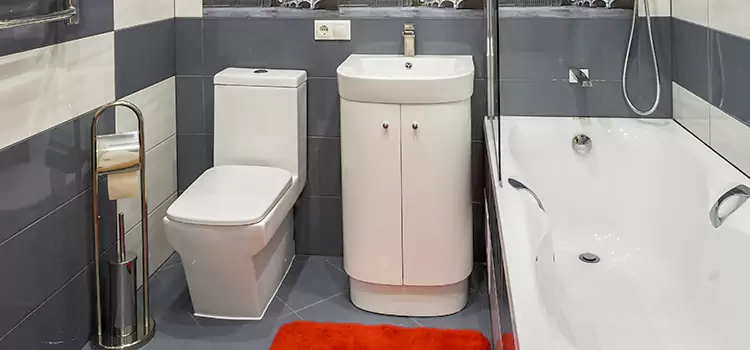 Hansgrohe Shaving Mirror Wantagh