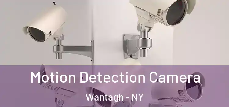  Motion Detection Camera Wantagh - NY