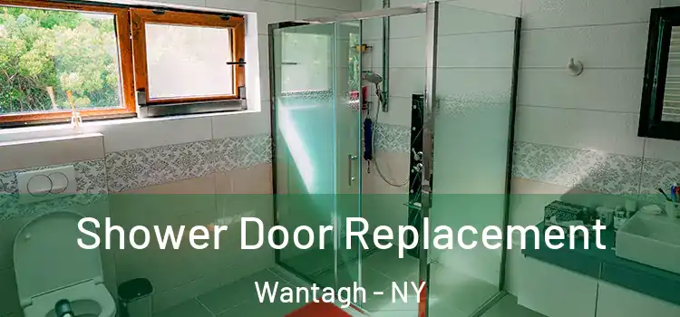Shower Door Replacement Wantagh - NY